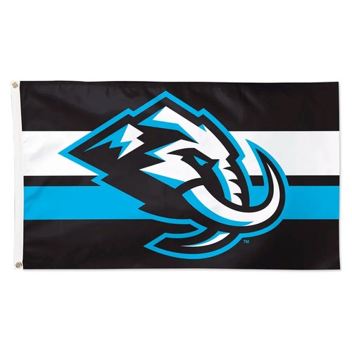 Utah hockey team - team, memorable