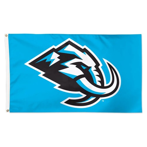 Utah hockey team blue - utah,