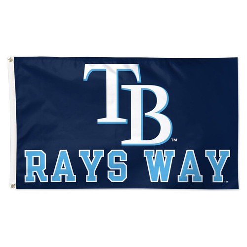Tampa bay baseball team - bay,