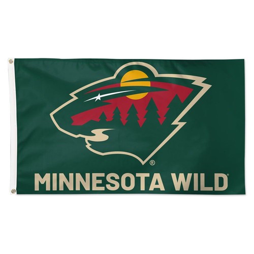 Minnesota hockey team - minnesota,
