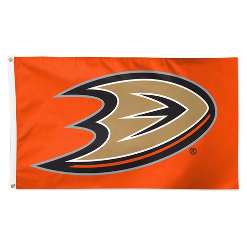 Anaheim hockey team - anaheim,