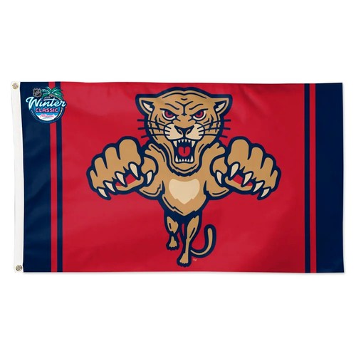 Florida hockey team winter - florida,
